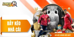 Bẫy Kèo Nhà Cái - Thứ Khiến Nhiều Người Mới Phải “Đau Đầu”