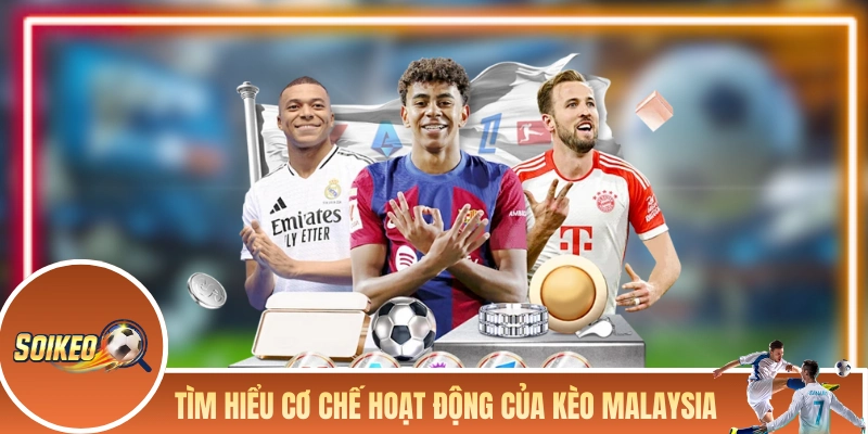Kèo Malaysia - Tỷ Lệ Odds Phổ Biến Tại Các Nhà Cái Châu Á Tìm hiểu cơ chế hoạt động của kèo Malaysia