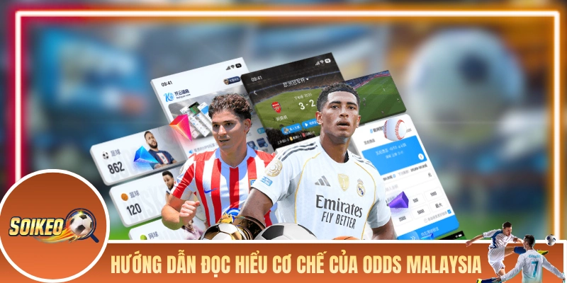Kèo Malaysia - Tỷ Lệ Odds Phổ Biến Tại Các Nhà Cái Châu Á Hướng dẫn đọc hiểu cơ chế của tỷ lệ odds Malaysia