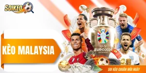 Kèo Malaysia - Tỷ Lệ Odds Phổ Biến Tại Các Nhà Cái Châu Á