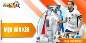 Mẹo Bán Kèo - Hướng Dẫn Thu Hồi Vốn Trước Khi Mất Toàn Bộ