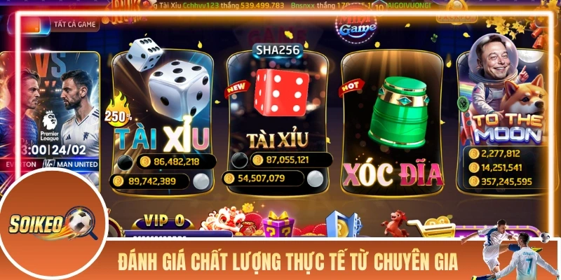 Đánh giá chất lượng thực tế từ chuyên gia