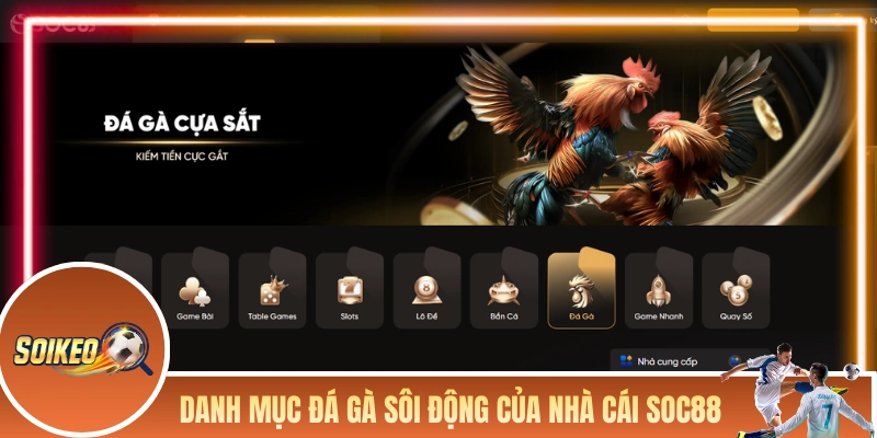 SOC88 - Chất Lượng Đã Được Thể Hiện Qua Từng Con Số Danh mục đá gà sôi động của nhà cái SOC88